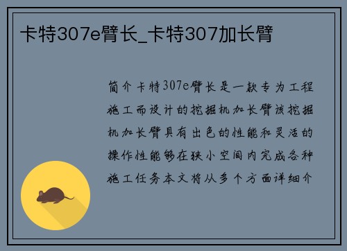 卡特307e臂长_卡特307加长臂